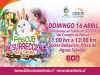 Este domingo 16 de abril San Antonio celebrará Pascua de Resurrección