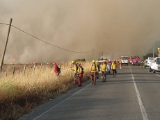 Municipalidad de San Antonio agradece apoyo a organismos de emergencias y voluntarios que trabajaron en el combate de incendios forestales