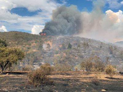 Equipo de emergencia de la Municipalidad de San Antonio está prestando apoyo logístico en incendio forestal “San Juan de Huinca”