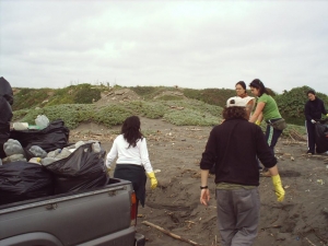 Limpieza de playas en San Antonio y Santo Domingo