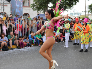 Cerrarán Tramo de la Avenida Barros Luco los 3 domingo del Carnaval de Verano 2018
