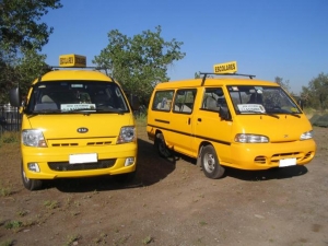 Informate sobre los seguros en el Transporte Escolar