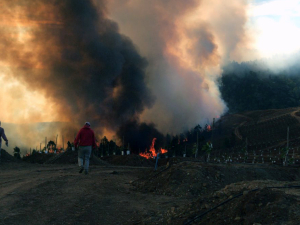 Municipio hace balance de los incendios forestales producidos en la comuna