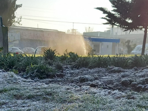 Municipio entrega ayuda a las personas en situación de calle  para mitigar las bajas temperaturas