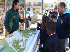 Municipalidad de San Antonio celebrará el Día Mundial del Medio Ambiente