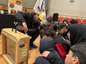 Invitan a descubrir el fascinante mundo de las abejas en charla educativa gratuita