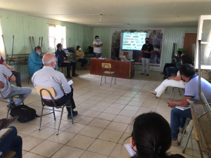 Realizan reunión de trabajo para buscar solución a plaga de moscas que afecta a Leyda