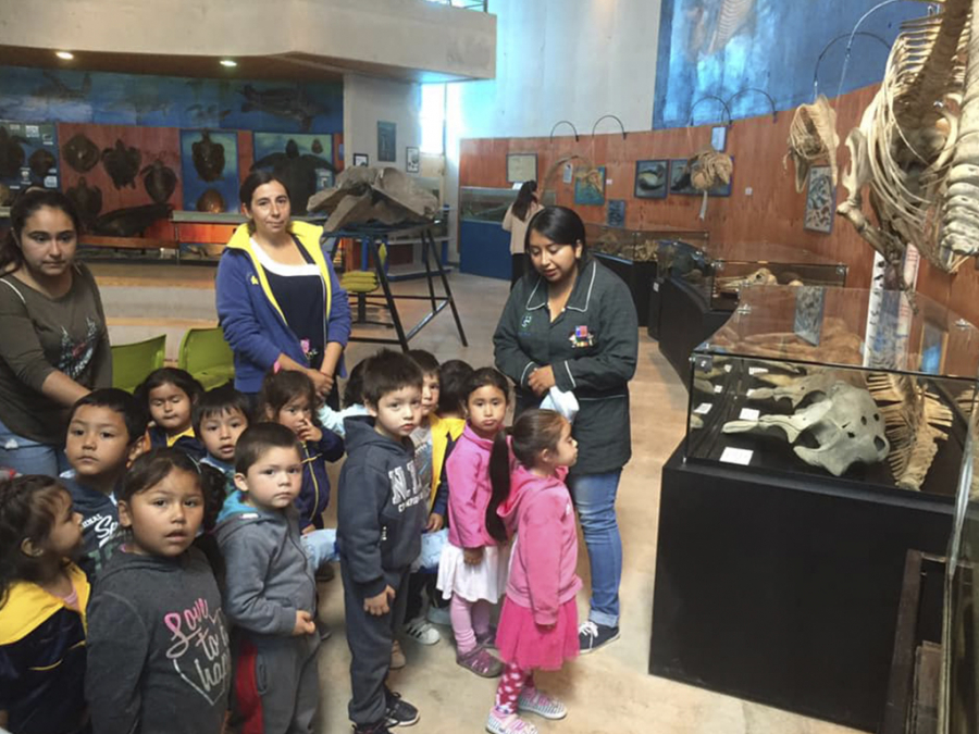 Museo de San Antonio tendrá un atractivo calendario de actividades en febrero
