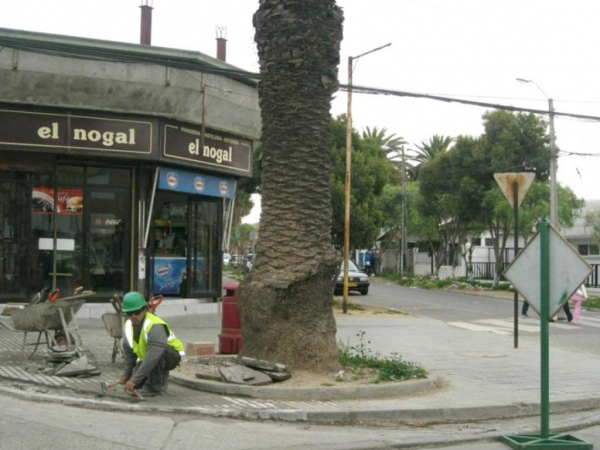 Licitaci&oacute;n Contrato de suministro para reparaciones bacheos en aceras y calzadas