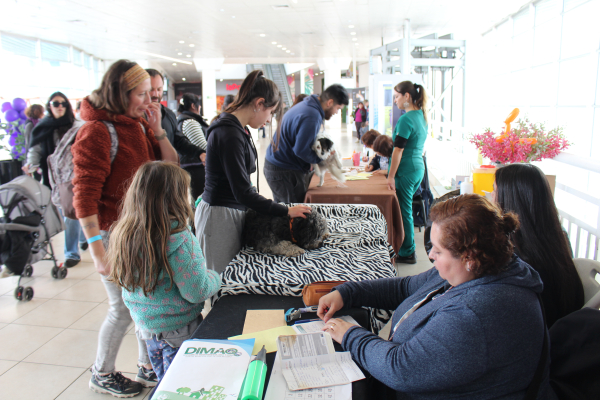 San Antonio conmemor&oacute; el D&iacute;a del Perro con exitosas jornadas de vacunaci&oacute;n, adopci&oacute;n y educaci&oacute;n en bienestar animal