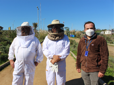 A disfrutar de las abejitas: todos invitados a Cuarto Encuentro Ap&iacute;cola Provincial