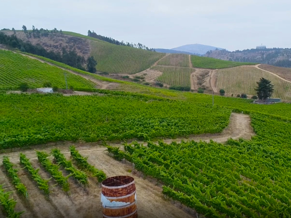 Informativo pr&oacute;ximos proyectos SEA