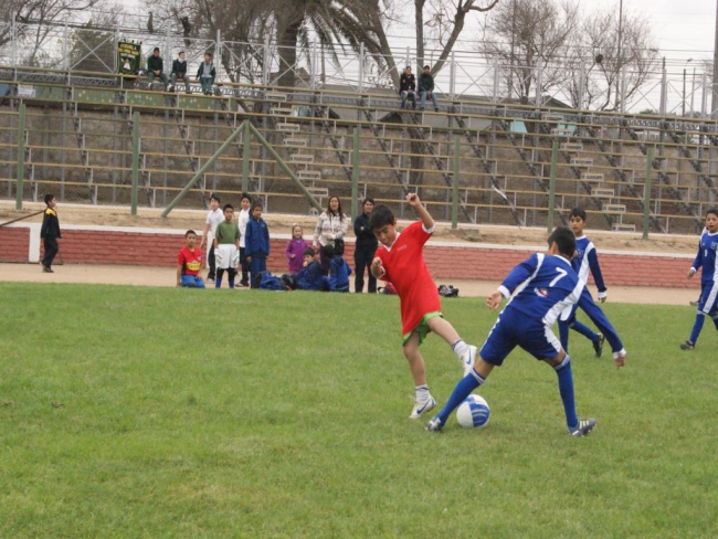 En el 2013 y  2014 aprobar&iacute;an 4 mil millones para las obras del Estadio Olegario Henr&iacute;quez.