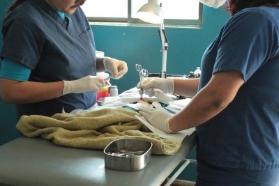 Abri&oacute; sus puertas el Centro Veterinario Municipal de San Antonio